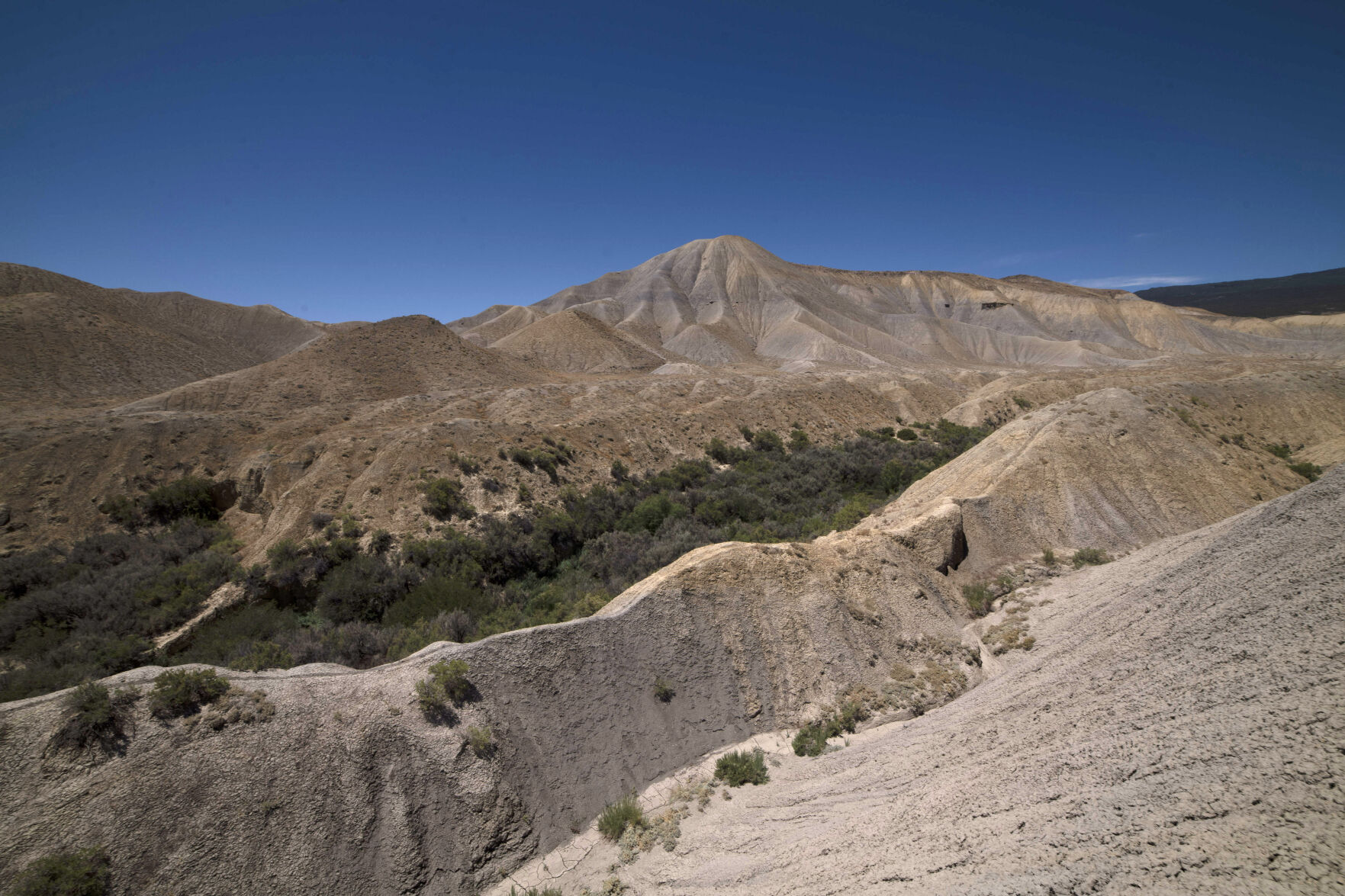 071020NegroCreek_004.jpg